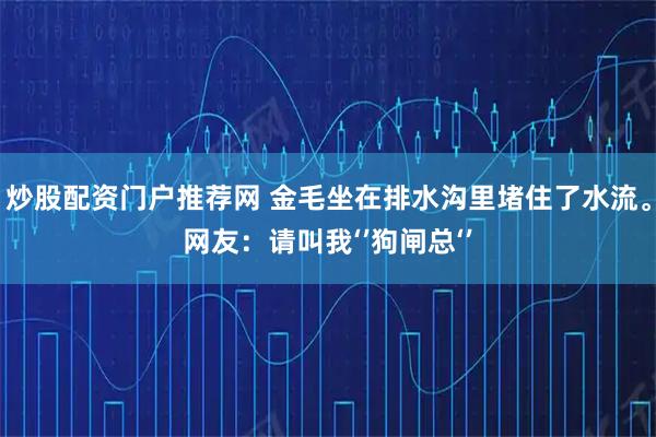 炒股配资门户推荐网 金毛坐在排水沟里堵住了水流。网友:请叫我‘’狗闸总‘’